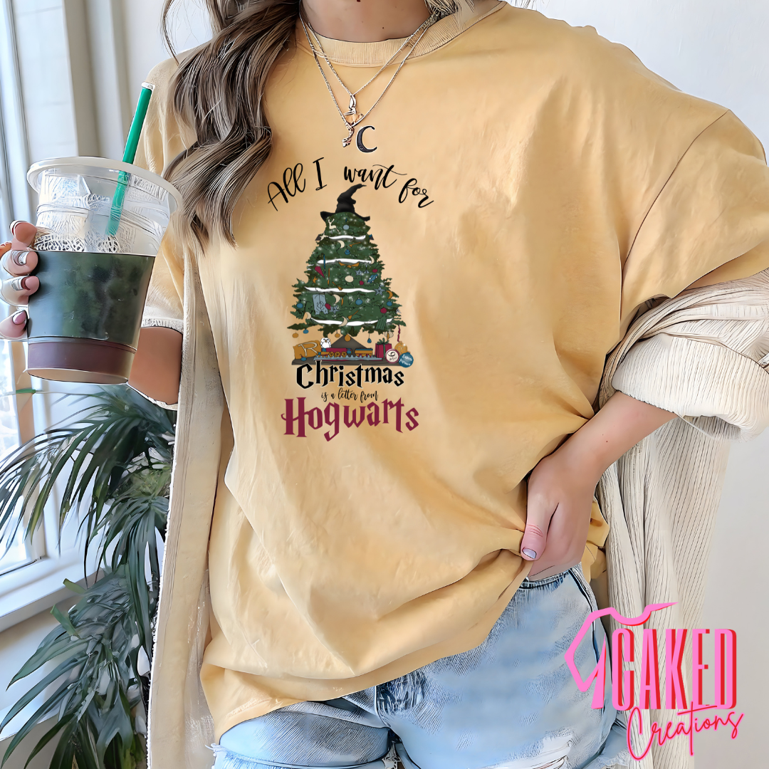 All I Want for Christmas Is a Letter from Wizard School Tee