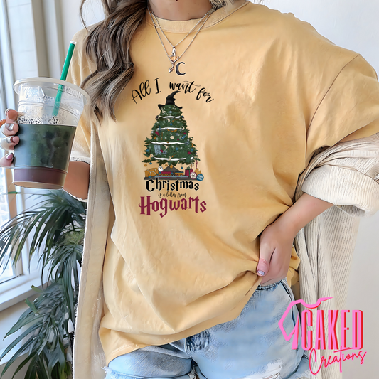 All I Want for Christmas Is a Letter from Wizard School Tee